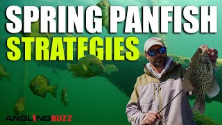 Spring Panfish Strategies [upl. by Elizabeth]