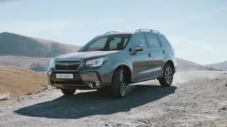 SUBARU FORESTER  EXPERIENCIA SUBLIME [upl. by Cortney298]