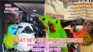 Update stok terbaru sesi PartIIABADIBIRDCIBINONG Live Lanjutan [upl. by Henni]