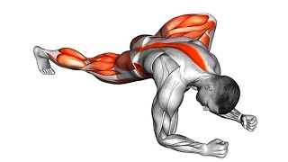 Morning stretching exercises for beginners [upl. by Gabriel]