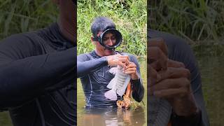 Pesca de TILAPIA a la orilla del rio con arpon [upl. by Horan951]