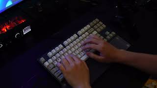 Geonworks Glare TKL Sound Test  Ducks BSP [upl. by Robson]