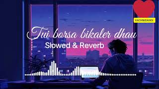 Tui borsa bikaler dhau  bangali Slowed and Reverb song  Video 😍🙂 [upl. by Anaeel881]