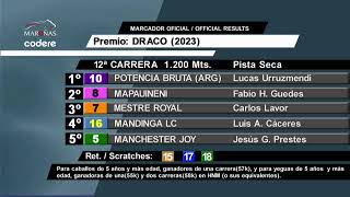 CARRERAS HIPODROMO MARONAS  1732024 VIVO [upl. by Ziwot]