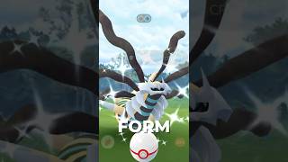 Top Counters for GIRATINA ORIGIN [upl. by Anipsed]