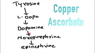 Tyrosine to Dopa Norepinephrine Epinephrine and Melanin [upl. by Pablo]