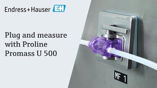 Plug and measure with Proline Promass U 500  EndressHauser [upl. by Hewes497]