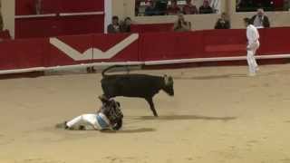 Course landaise  Alès Feria de lAscension 2012 [upl. by Otsuaf737]