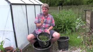 How to make FREE Natural Plant Food Fertilizer [upl. by Lust51]