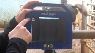 New EasiScan Remote Display from BCF Technology video [upl. by Ecniv]