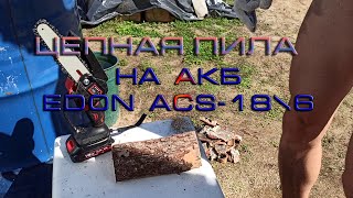 Обзор аккумуляторной пилы Edon ACS18\6 [upl. by Kahl]