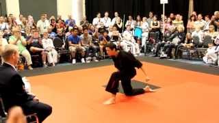 Trace Megellas 2013 Creative Weapons ATA World Champion [upl. by Dlonra]