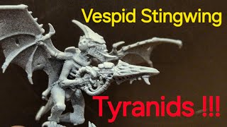 Vespid Tyranid Kill Team Hivestorm conversion warhammer 40k 2024 [upl. by Aihsela]