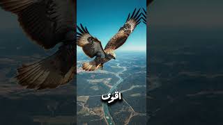 من أكبر الطيور في العالم؟  🤔🔥🔥 shorts explore facts eagles [upl. by Fishbein]