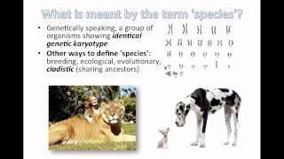 Species and Speciation IB Biology [upl. by Missak]