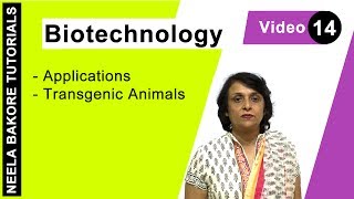 Biotechnology  NEET  Transgenic Animals  Neela Bakore Tutorials [upl. by Nylrats]