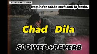 Chad Dila roo na  slowed reverb ♪ SLOWED HAVE SONG ♪ isqa k dur rabba soch sadi la janda sad [upl. by Radburn952]