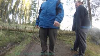 Calvert Trust Kielder  Buggy ride Lakeside Way shut by trees [upl. by Juli]