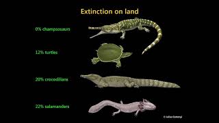 The CretaceousPalaeogene Mass Extinction What Do We Really Know [upl. by Annaya801]