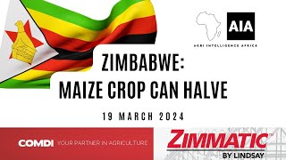 50 less Maize in Zim  20 March 2024  African Agri Overview [upl. by Hctud]