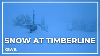 Heavy snow at Timberline on Mount Hood  Live look [upl. by Ahtis]