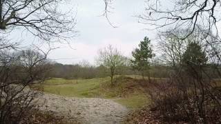 Nature Reserve Oranjezon Zeeland Drone [upl. by Davita]