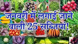 जनवरी में लगाई जाने वाली सब्ज़ियाँ  January me konsi sabji lagaye  January Month Vegetable To Grow [upl. by Eanel686]