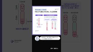 【約1分で遺伝性疾患を解説】MECP2重複症候群 小児慢性特定疾病 指定難病 遺伝性疾患 MECP2重複症候群 [upl. by Arras]