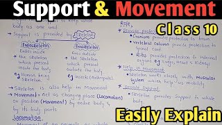 Support And Movement  Exoskeleton  Role Of Skeleton  Class 10 Biology [upl. by Annahsit]