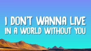 Clinton Kane  I DONT WANNA LIVE IN A WORLD WITHOUT YOU Lyrics [upl. by Pitts955]