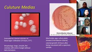 Case Study Presentation about Enterobacter cloacae [upl. by Curzon]