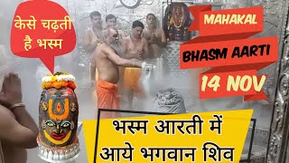 Ujjain ke mahakal aarti live today bhasma aarti mahakaleshwar ujjain 14 Nov  mahakal live darshan [upl. by Kinney]