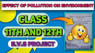 EVS Project On Effect Of Pollution On EnvironmentEvs Project PDF12th evs project [upl. by Wolford]