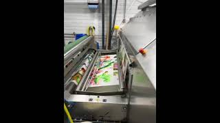 TT6385 REGGIANI COMPLETE TEXTILE PRINTING LINE 3 [upl. by Marinna401]