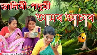 Dalimi podumir Aamr Asar  Assamese comedy video  Assamese funny video [upl. by Ellicul]