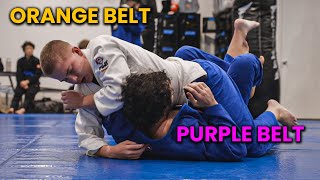 Orange Belt did THIS to a Purple Belt [upl. by Freed]