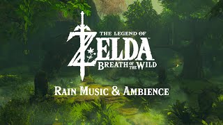 Breath of the Wild Rain Music  Ambience [upl. by Ecilef]