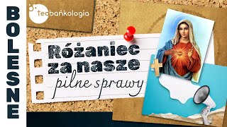 Różaniec Teobańkologia za nasze pilne sprawy 2010 Piątek [upl. by Marie-Ann]