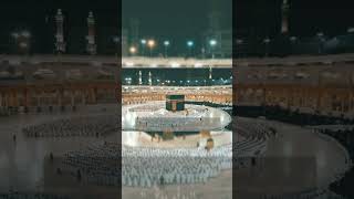 Ya nabi salam alaika  maher zain song s  arabicmusic arabicringtone maherzaingojol shorts [upl. by Cissy]