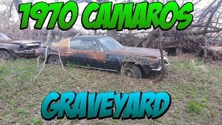 1970s Camaro Grave Yard 30 Camaros Firebirds Trans Ams Etc [upl. by Urba771]