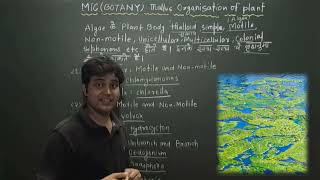 MIC BotanyTMBU Botany MIC Thallus organisation of Algae [upl. by Ejroj]