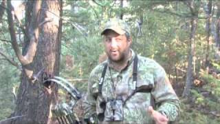 Shoot Straight with Chad Schearer  Montana Archery Elk Hunt [upl. by Recnal]