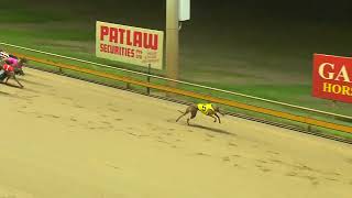 Rockhampton30102024Race8 [upl. by Edroi]