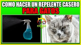 🙀 COMO HACER UN REPELENTE CASERO PARA GATOS [upl. by Annahsat]