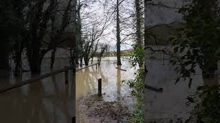 Clare Castle country park river stour [upl. by Alejandro944]