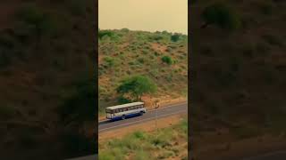 Rajasthandesert  sajjan razi song 🎵🎵🎵🎵 short video [upl. by Llennol652]