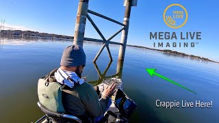 Using Mega Live Imaging to Locate MONSTER Crappie on Lake Conroe [upl. by Marden]