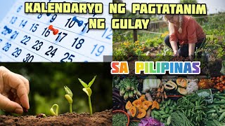 ANG KALENDARYO NG PAGTATANIM NG GULAY ENERODESYEMBRE SA PILIPINAS [upl. by Estren]