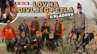 Lov Divljeg Petla u Kladovu sa quotBELOMquot municijom Pheasant hunting in Kladovo with quotBELOMquot ammo E220 [upl. by Rehteh12]