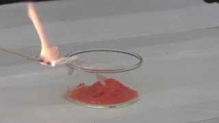 Video Demonstration Ammonium Dichromate Reaction [upl. by Nanaj]